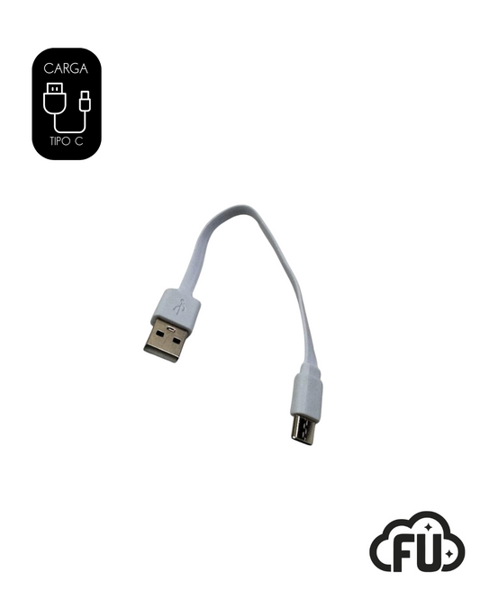 Cargador Tipo-C